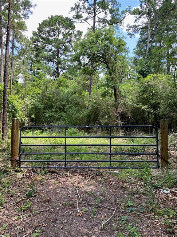 N/A Loblolly Lane - Photo 1