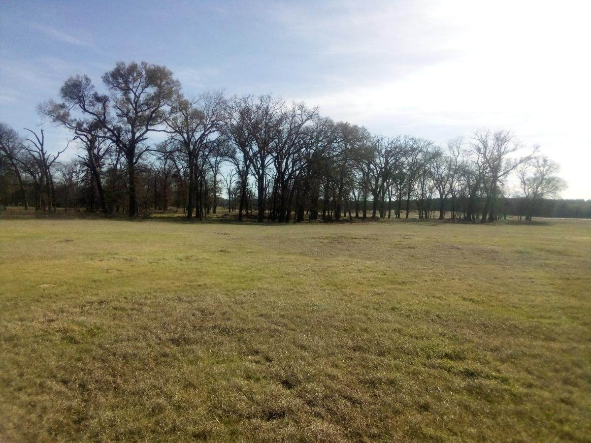 TR 87 County Road 231 - Photo 1