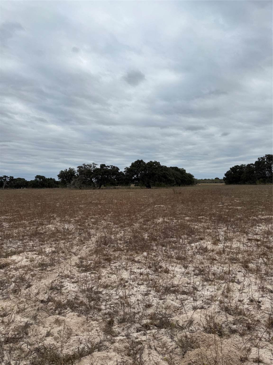 3737 Bruce Lot 9 Road - Photo 1