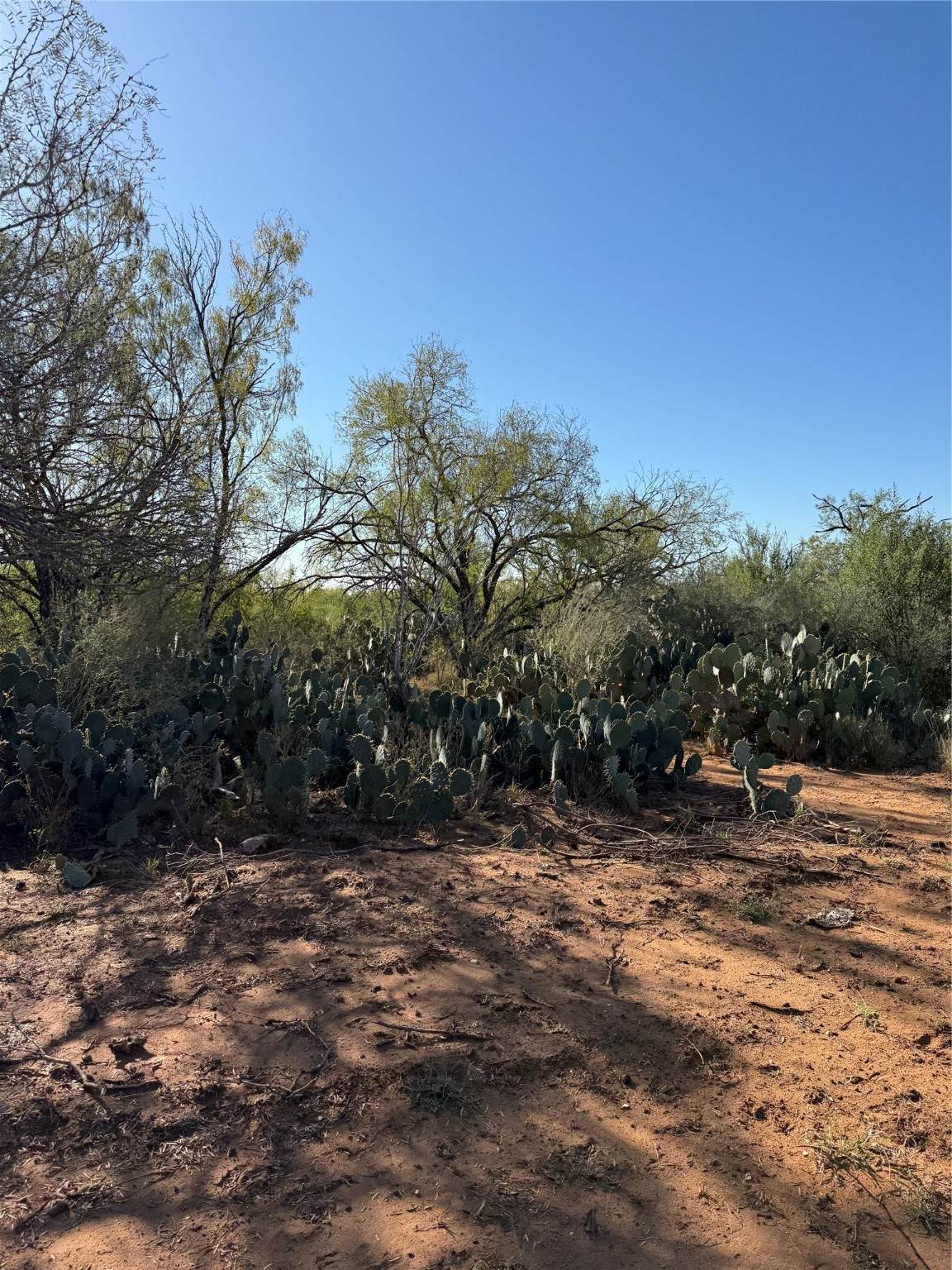 0007 County Road 300 - Photo 1