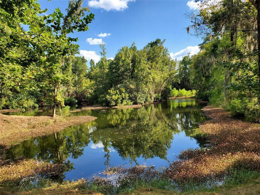 74 Rabbit Ridge - Photo 1