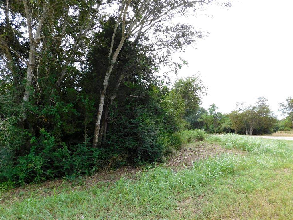 000 TBD Ramsey Road - Photo 1