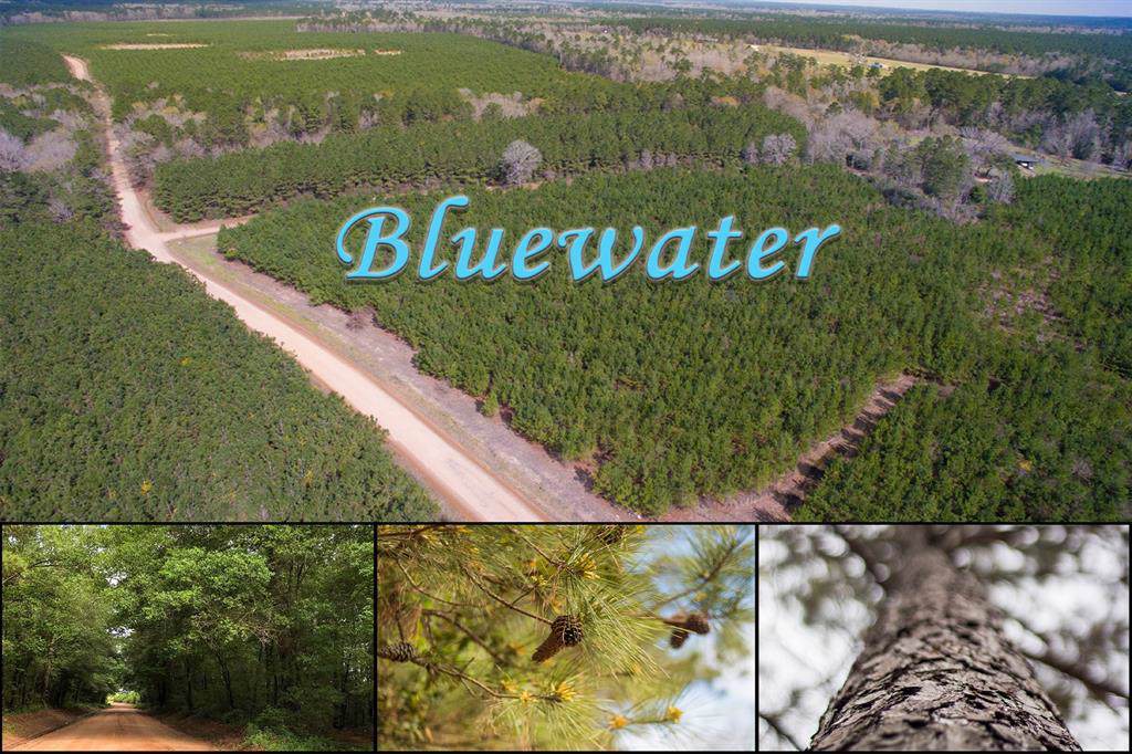1356 Ac Bluewater Road Tr 2-8 - Photo 1