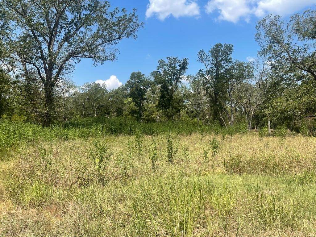 0 Carroll Road - Photo 1