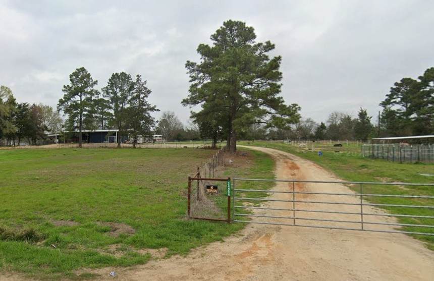 24954 Bailey Grove Road - Photo 1