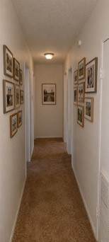 11810 Greenglen Drive - Photo 10
