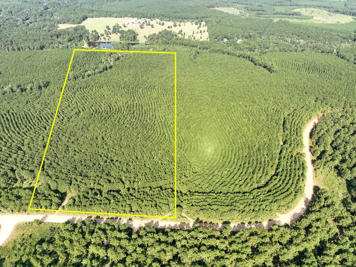 000 Shady Grove Rd - Photo 1