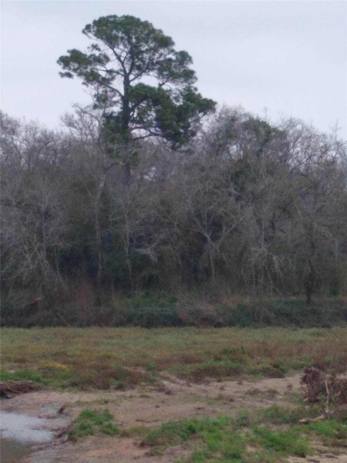 0 Fm 2351 Road - Photo 1