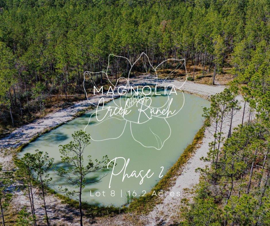 028 King Ranch Road - Photo 1