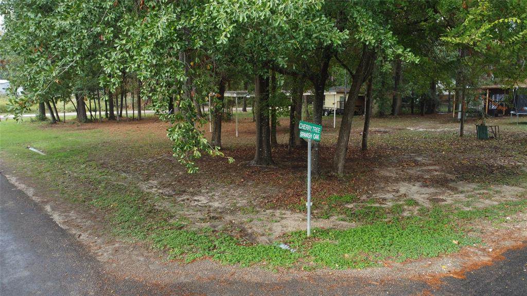 115 Cherry Tree - Photo 1