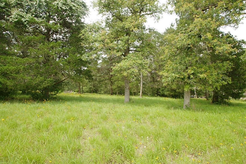 19 North Falls Drive - Photo 1