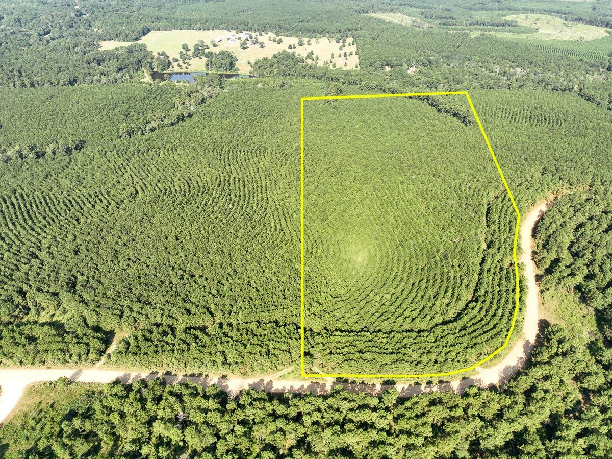 00 Shady Grove Rd - Photo 1