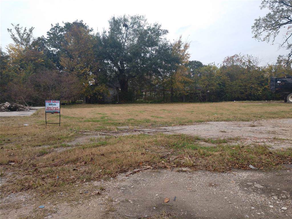 2305 Sakowitz Street - Photo 1