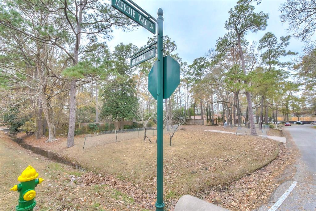 201 Merrie Way Lane - Photo 1
