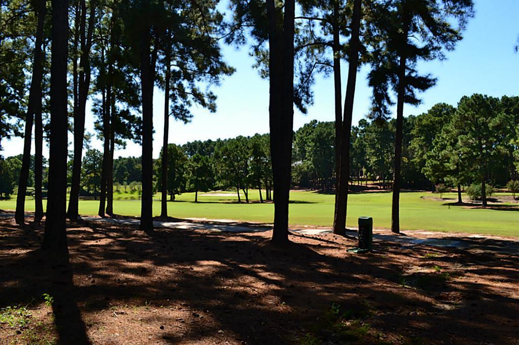 0 Hermitage - Photo 1