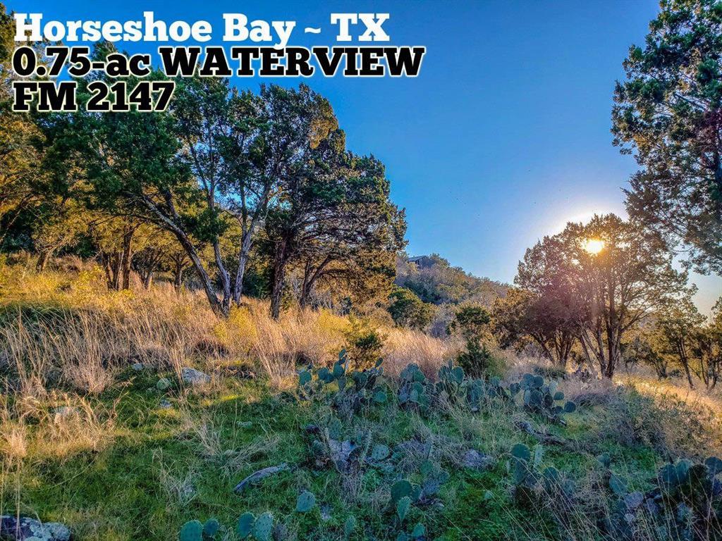 Lot 37024 Fm 2147 - Photo 1