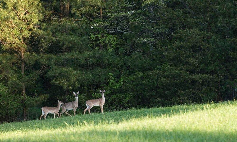 14-37-40 Sandpiper Drive - Photo 1