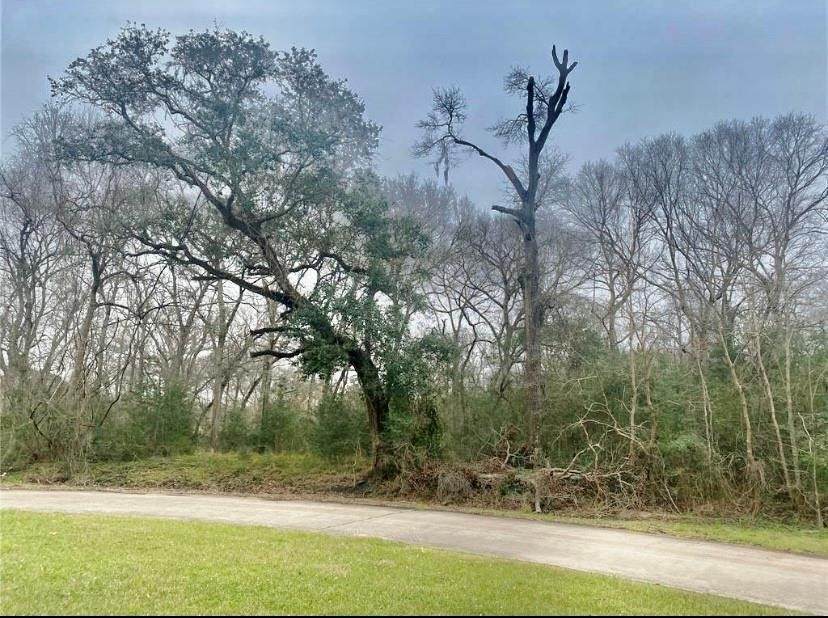 1232 Chuckwagon Court - Photo 1