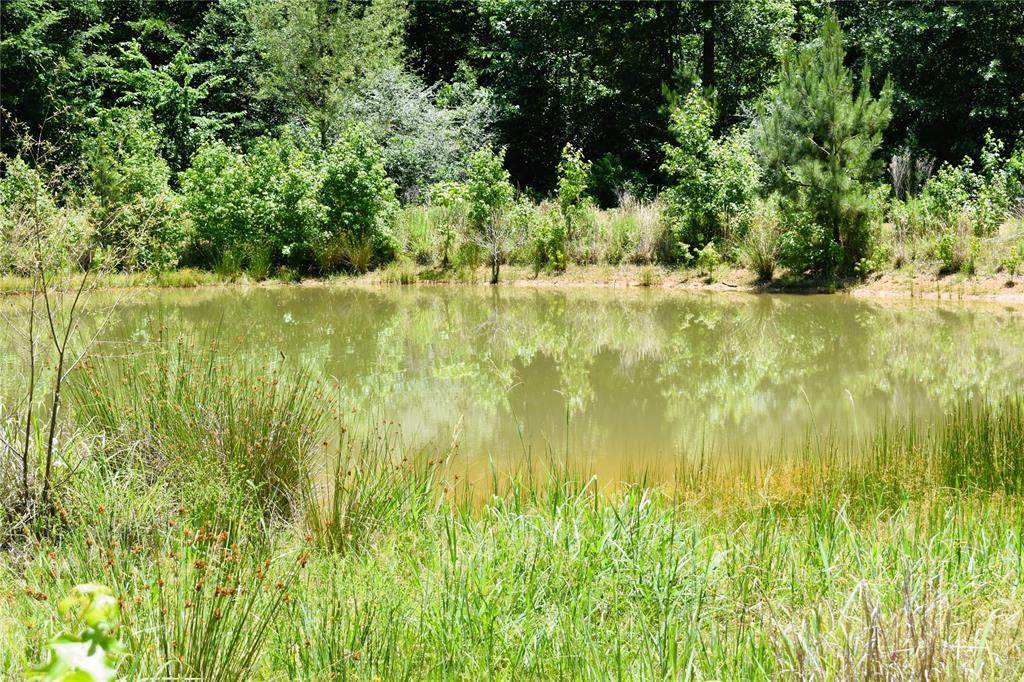 1624 Highway 7 - Photo 1