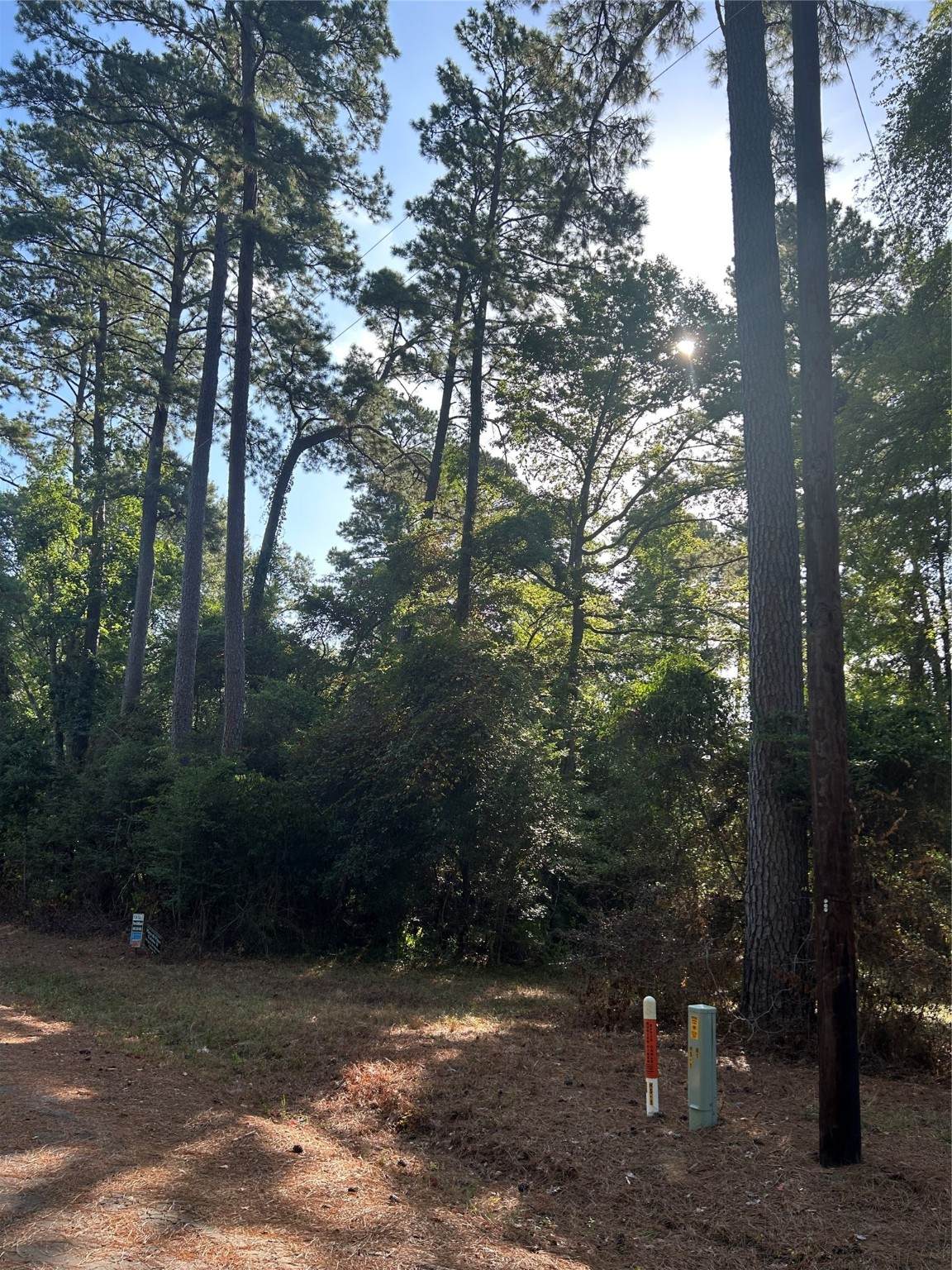 303132 Oak Pine Drive - Photo 1