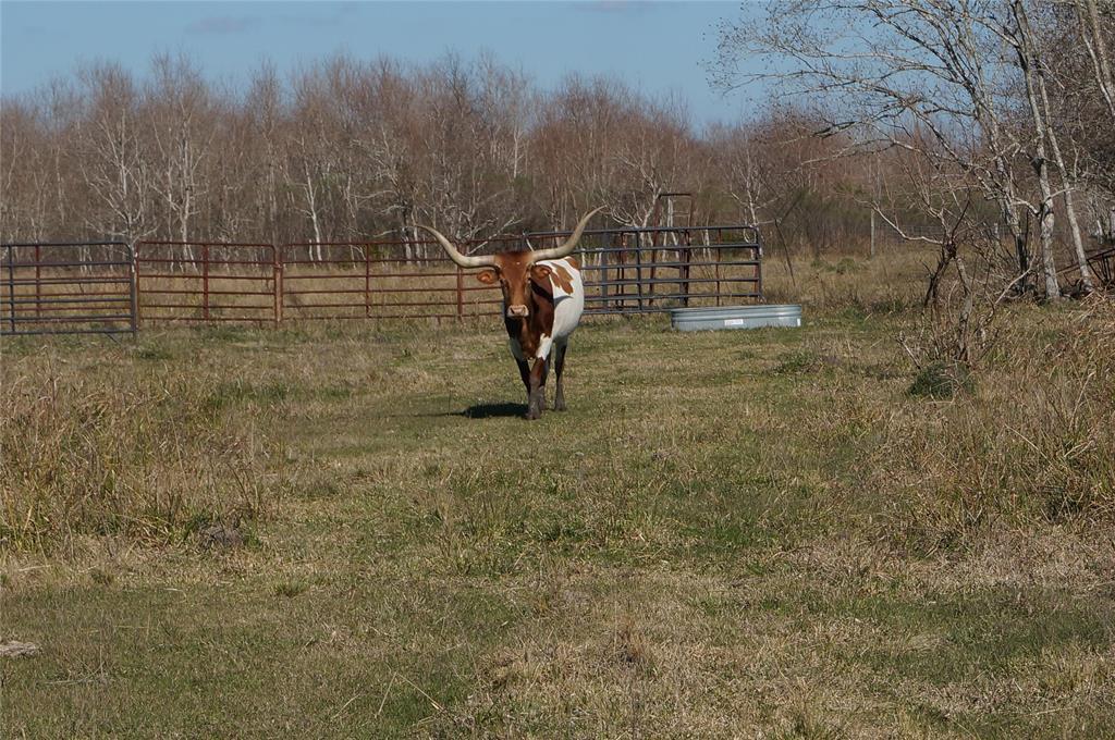 0 County Road 165/166 - Photo 1