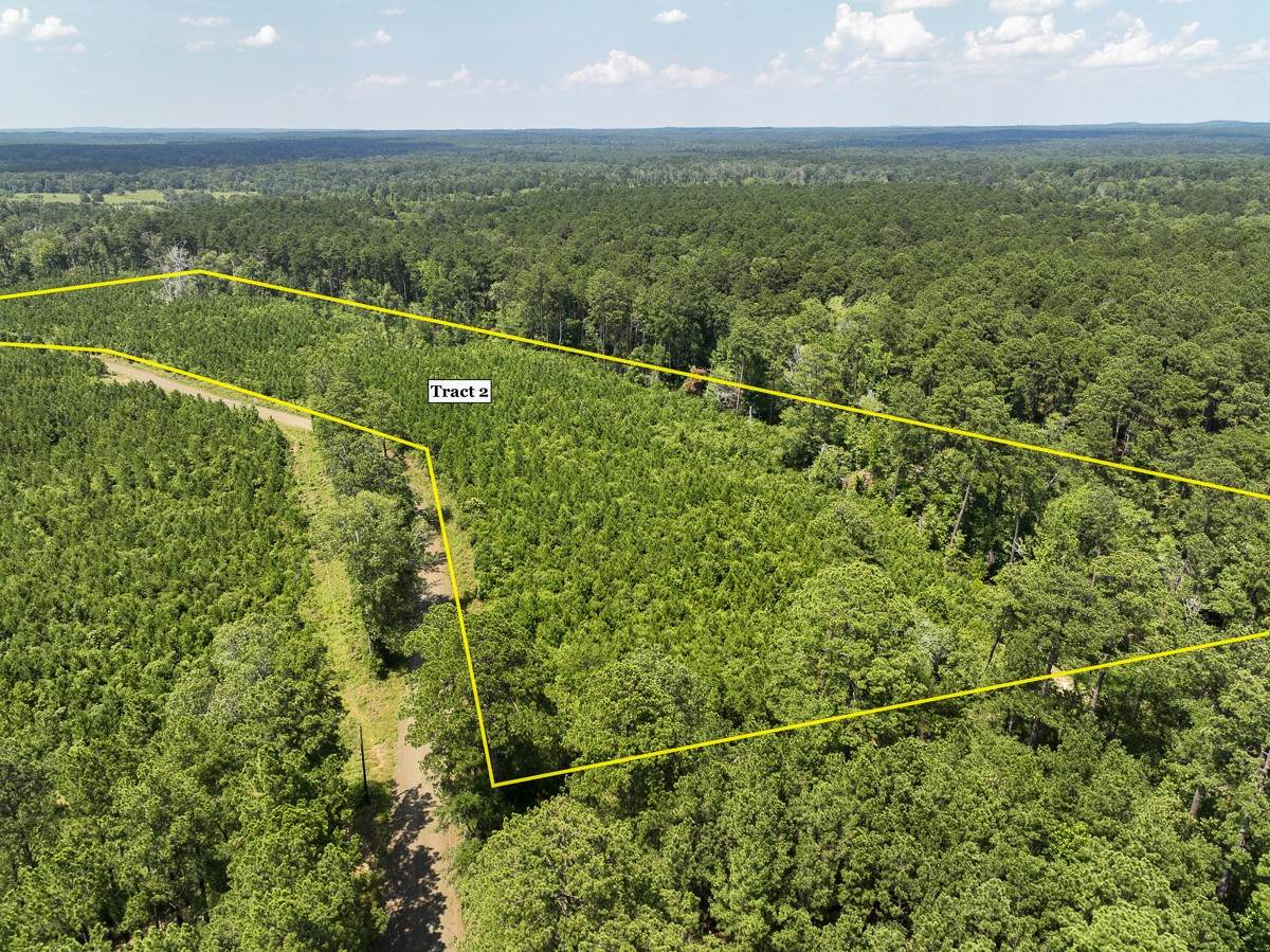 02 Fire Tower Road - Photo 1