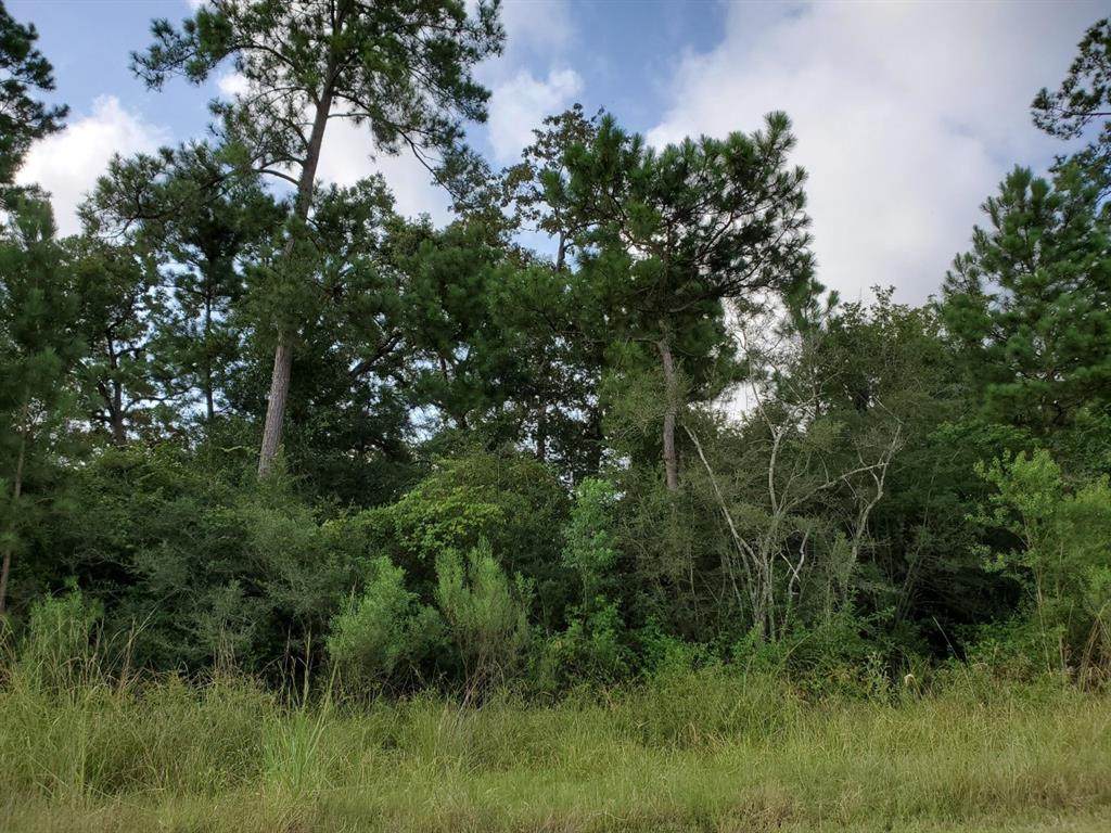 137 Kings Lake Estates Boulevard - Photo 1