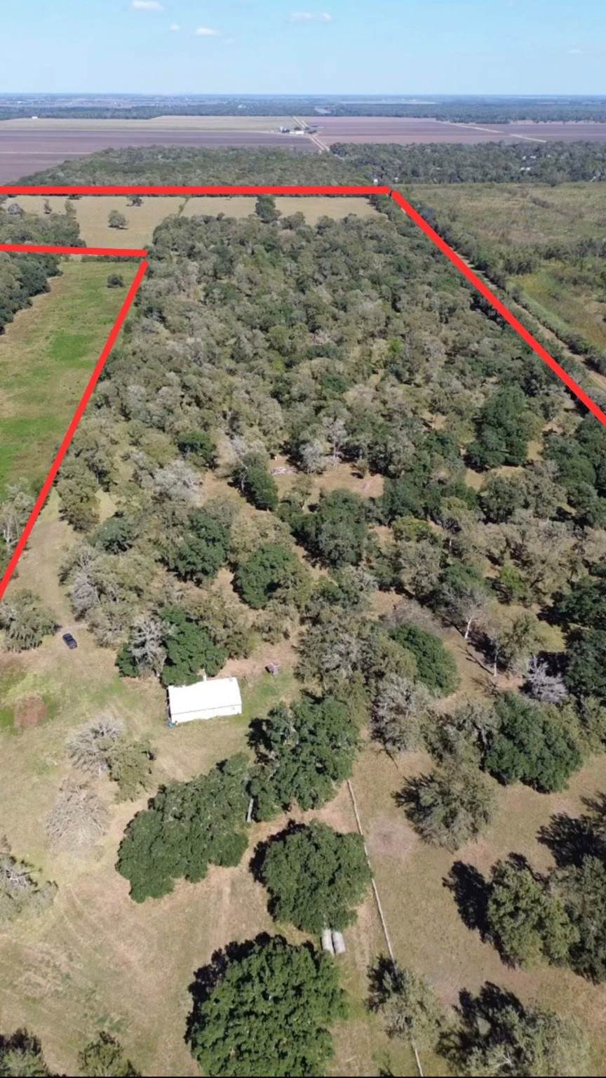 20226 San Bernard Drive - Photo 1