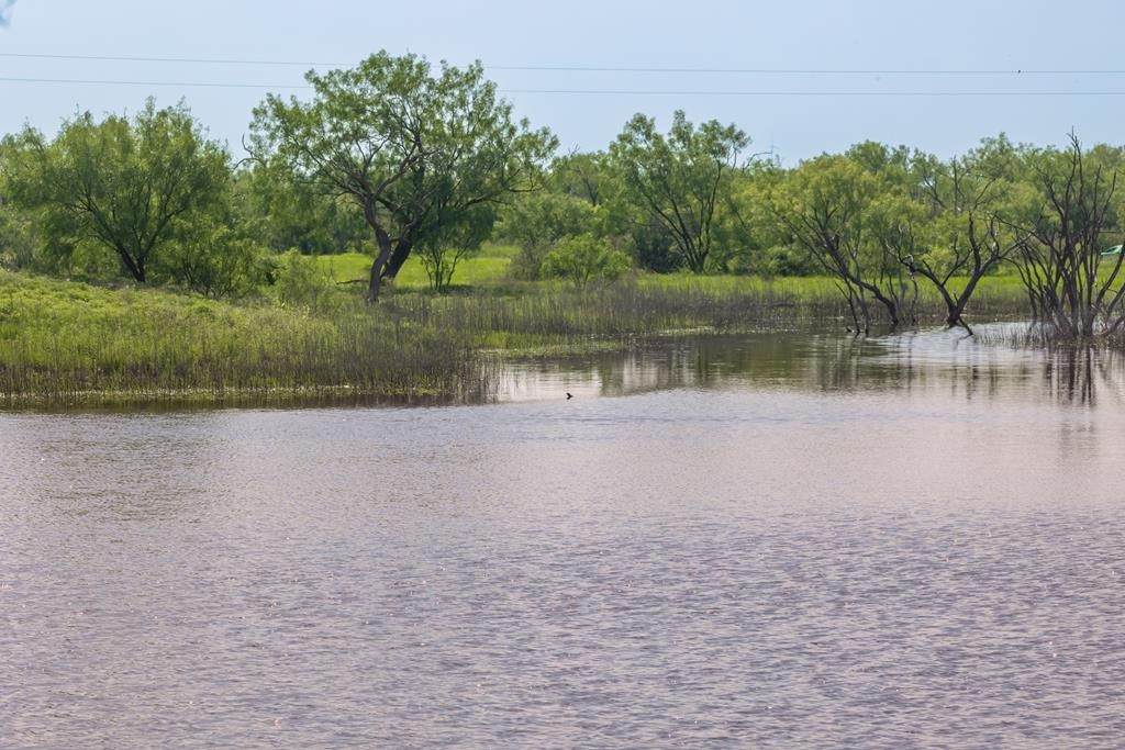 88291 Suaa Rd Well - Photo 1