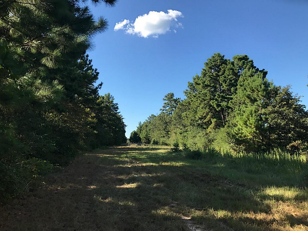 59 ac Cr 119 - Photo 1