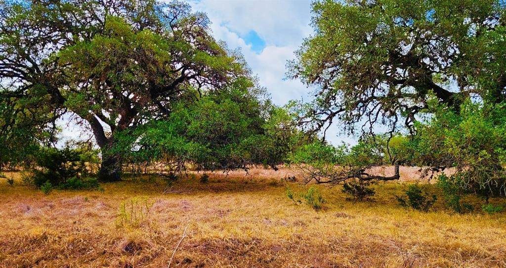 530 Buckskin Trail - Photo 1