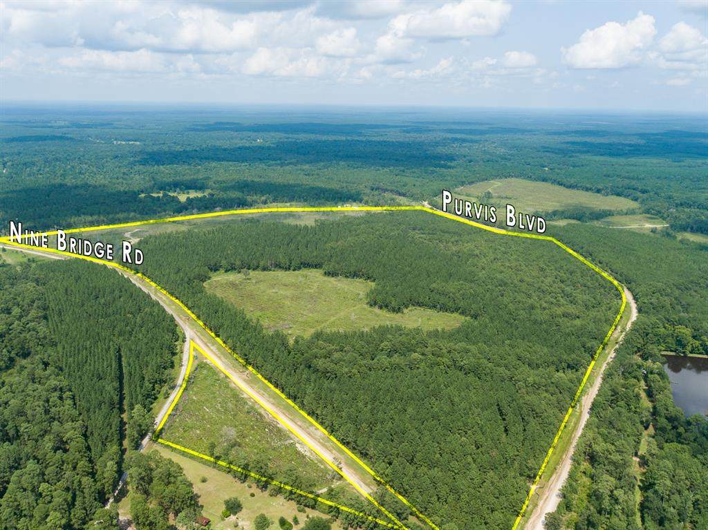 00000 Nine Bridge Rd - Photo 1