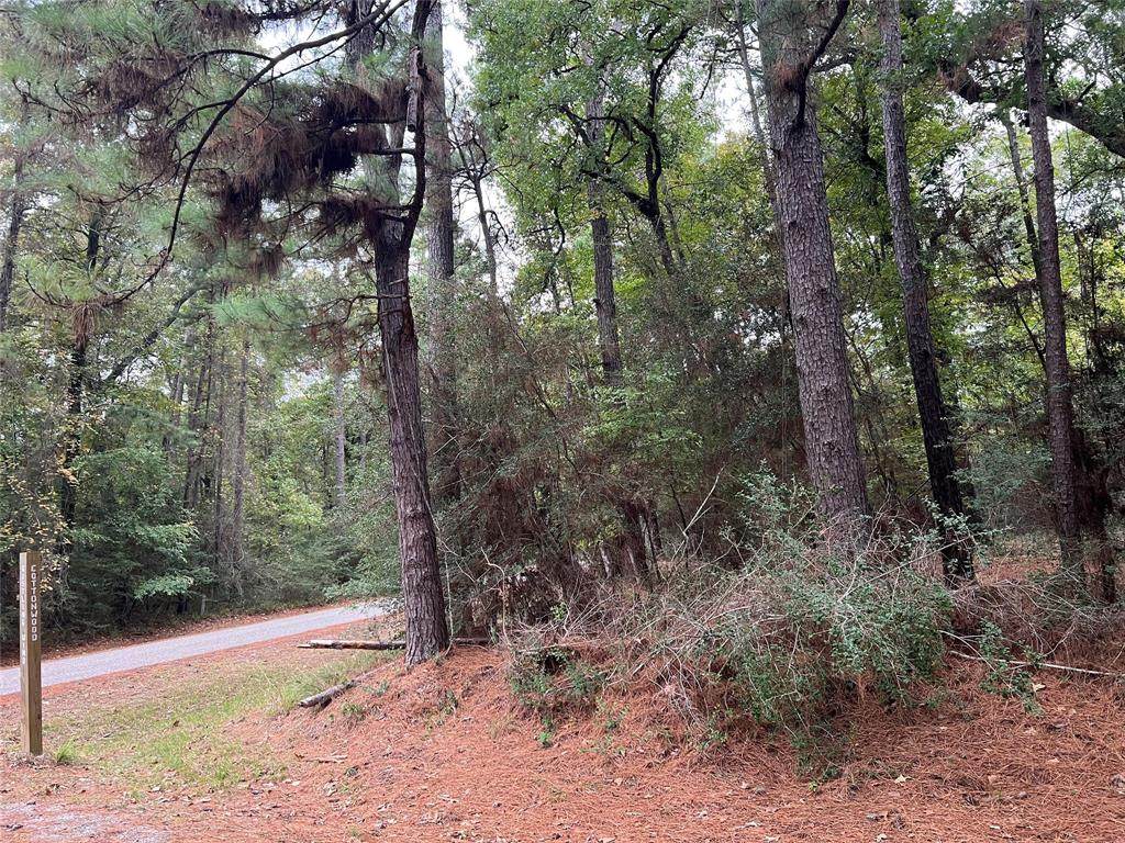 TBD Rustling Wind - Photo 1