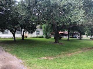 23423 Chateau Woods Lane - Photo 1