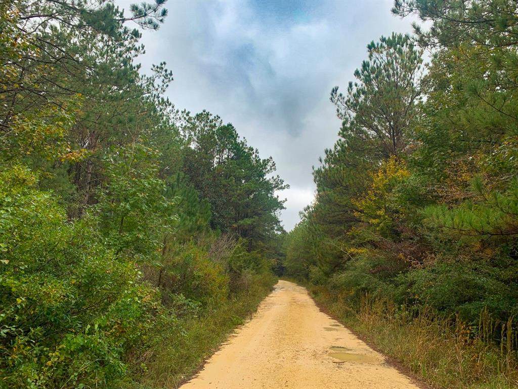 00 Tom Marsh Road - Photo 1