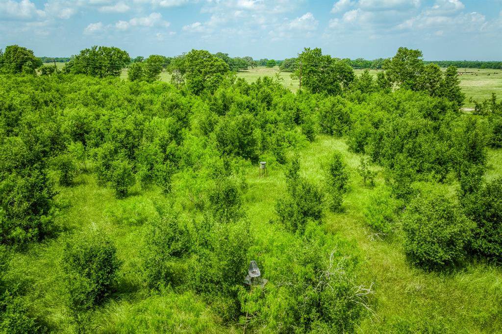 10396 County Road 276 - Photo 1