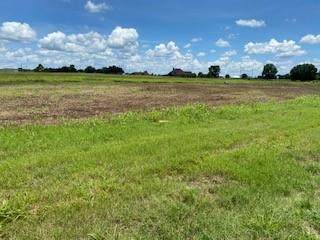 10351 Bushnell Road - Photo 1