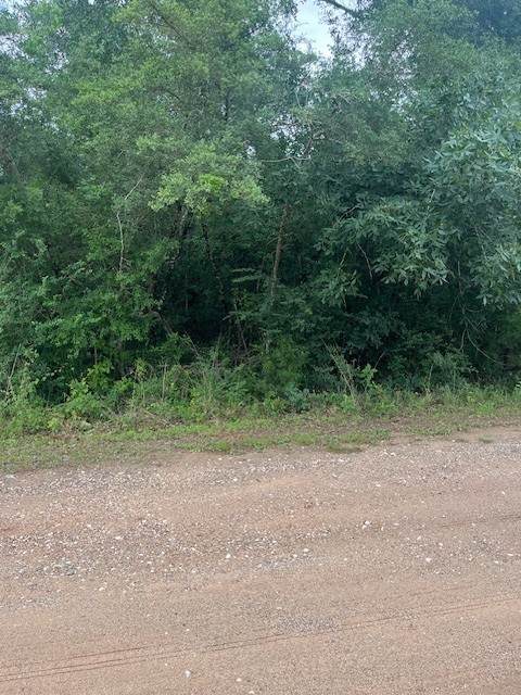 0 Deerwood Drive - Photo 1