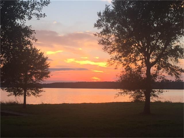 14661 Coushatta Trl - Photo 1