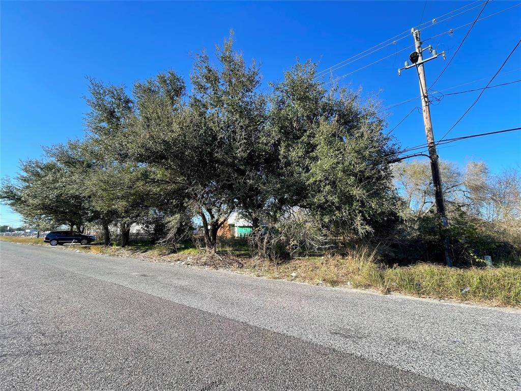 7817 Hall Road - Photo 1