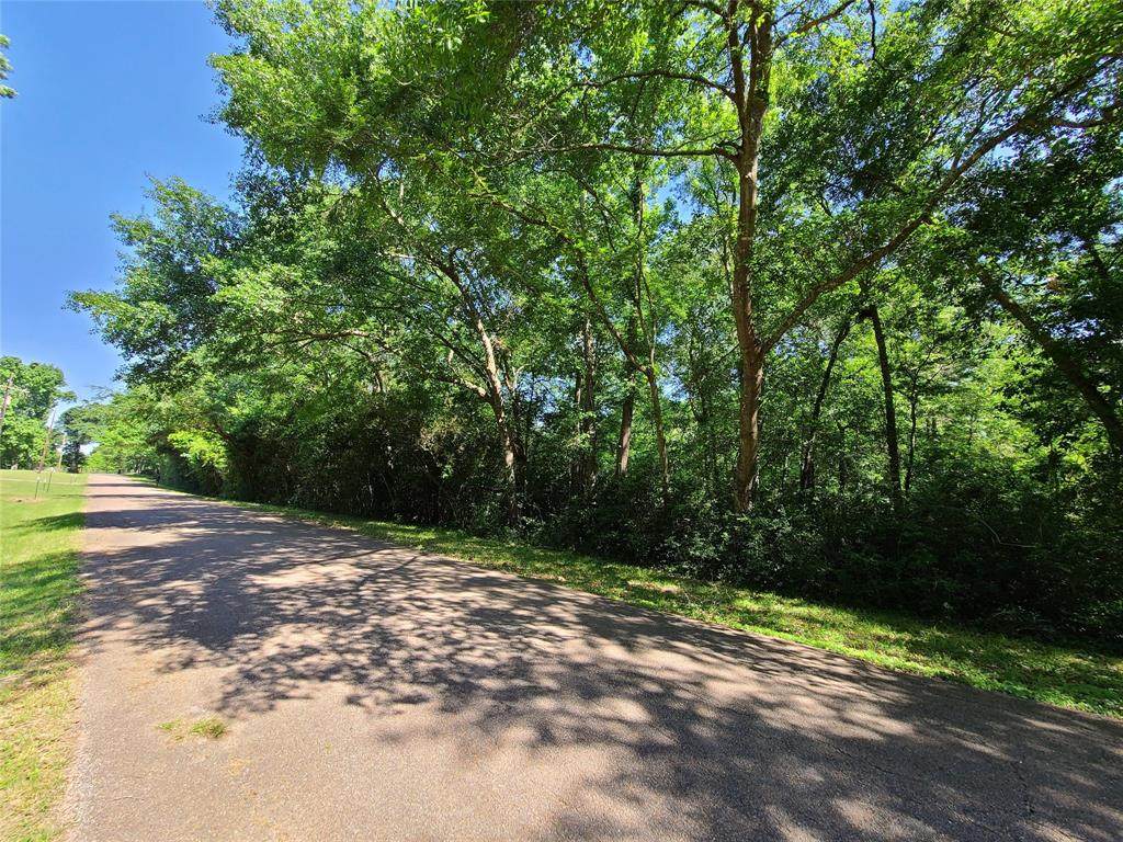Lot 24 Fultz Road - Photo 1