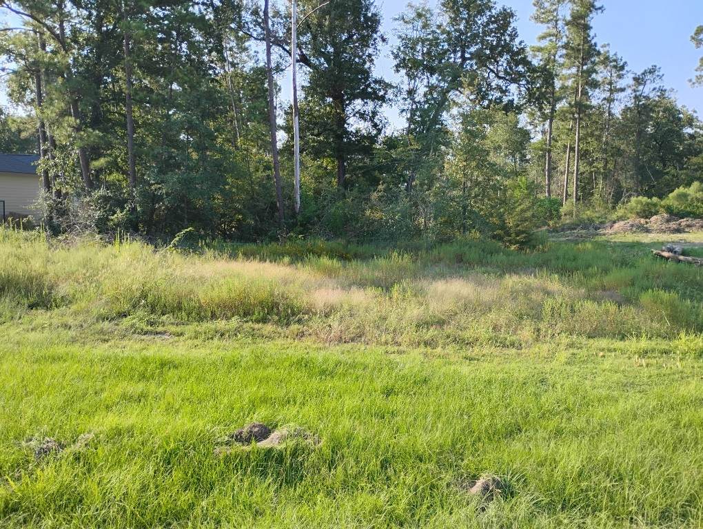 TBD N Cattle Drive - Photo 1