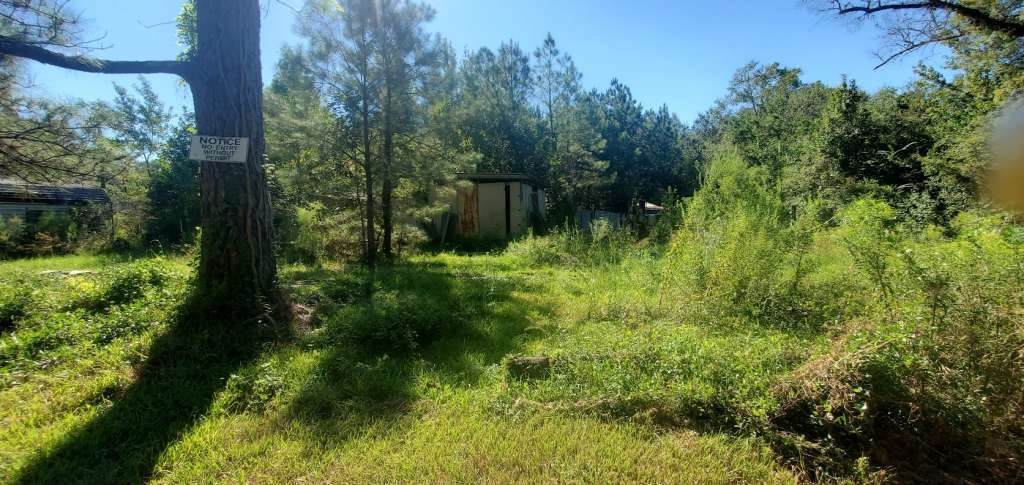 1150 Timberlane Street - Photo 1
