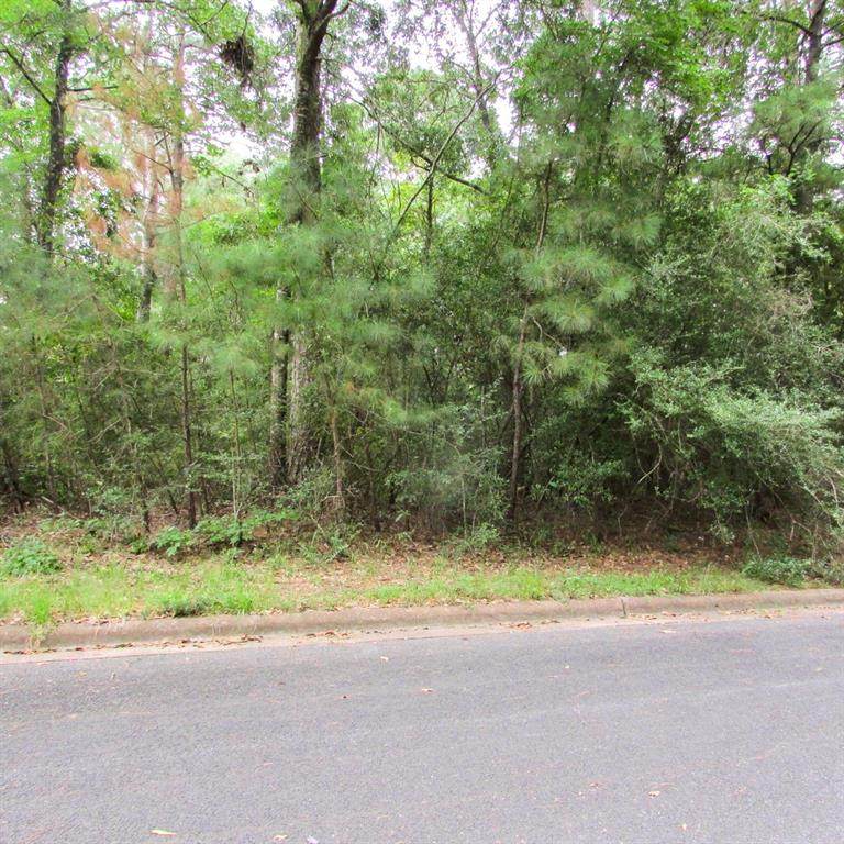 305 Inverness Street - Photo 1