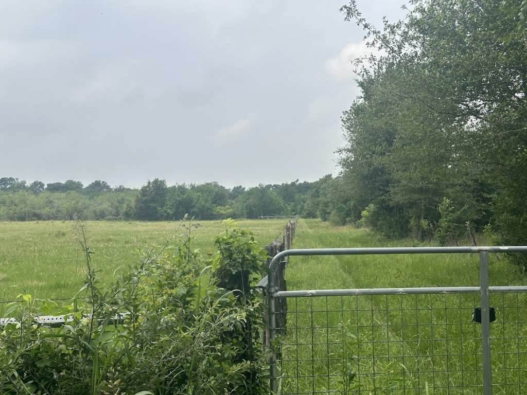 0 County Road 269 - Photo 1