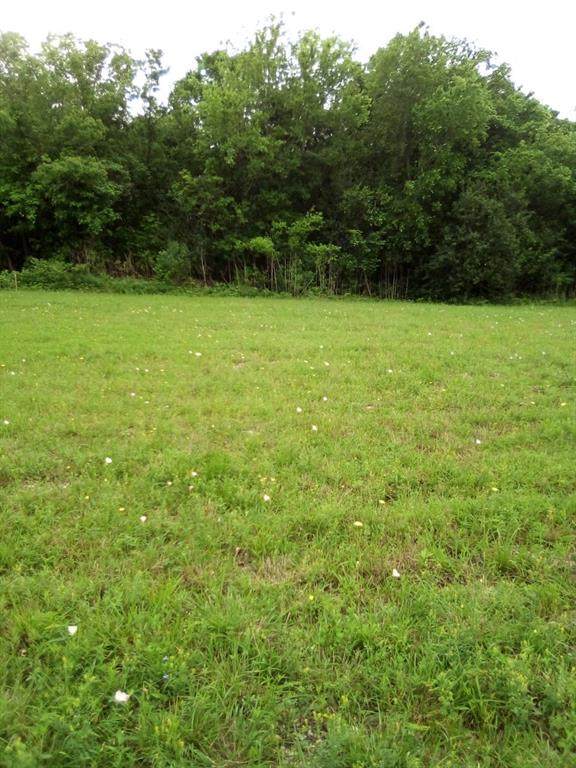 5209 Fuqua Gardens View - Photo 1
