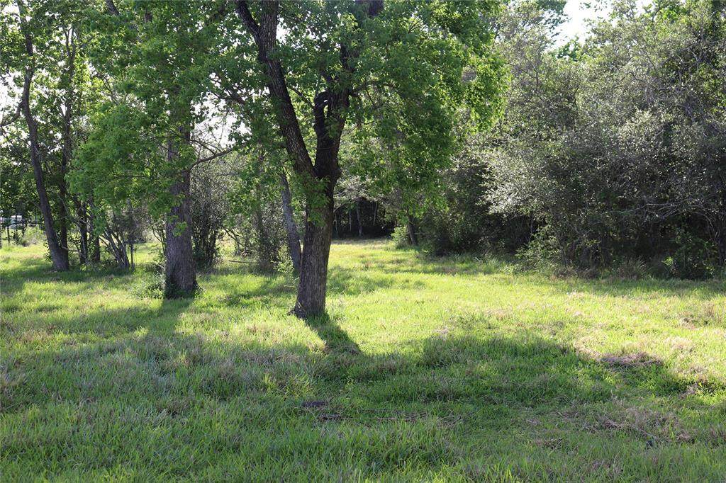 0 Bedynek Rd - Photo 1
