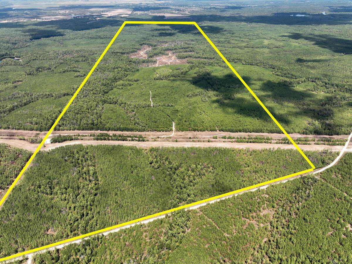 00 Off Lost Indian Camp Road - Photo 1