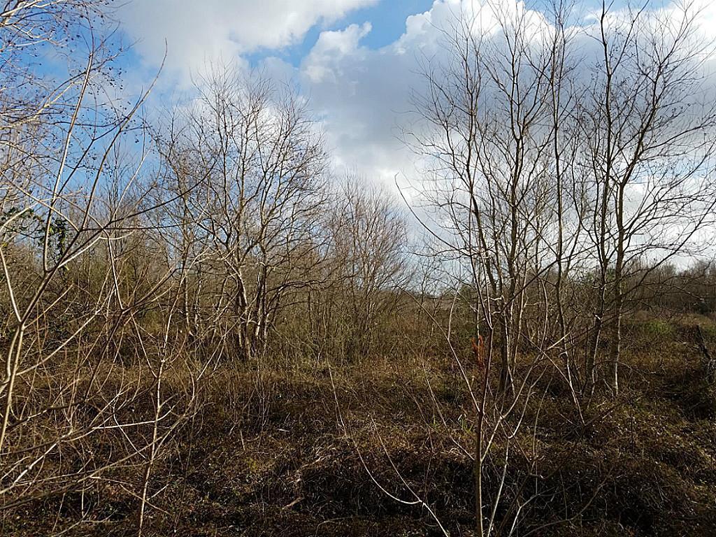 0 County Road 165 - Photo 1