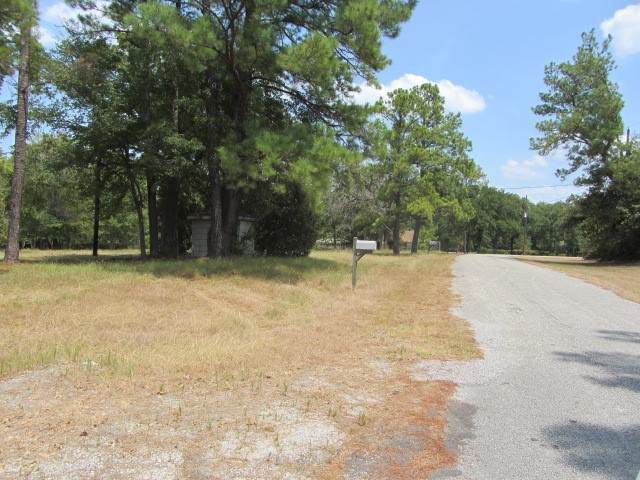 31,33, 35 Park Lane Land - Photo 1